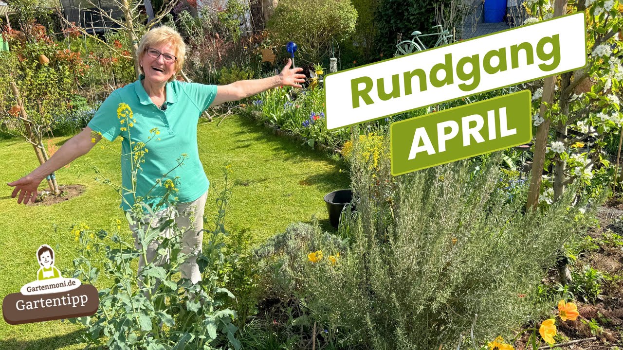 Es wird täglich bunter! Gartenrundgang im April