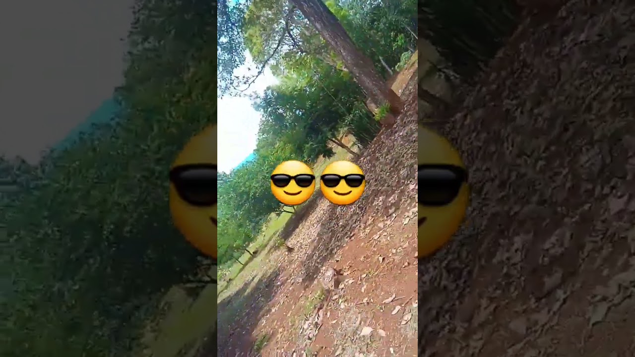 La  plaza #plaza #pro