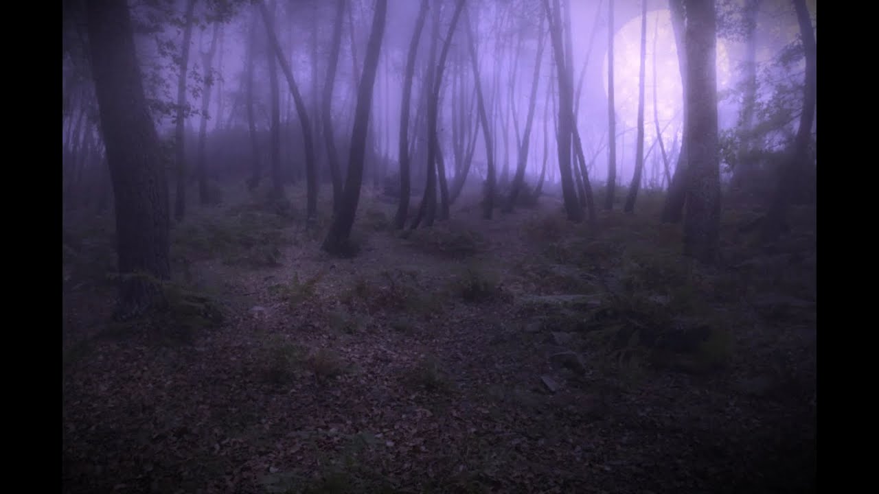 Lønely Wølf - Calm after storm of tears, definitive🌧️