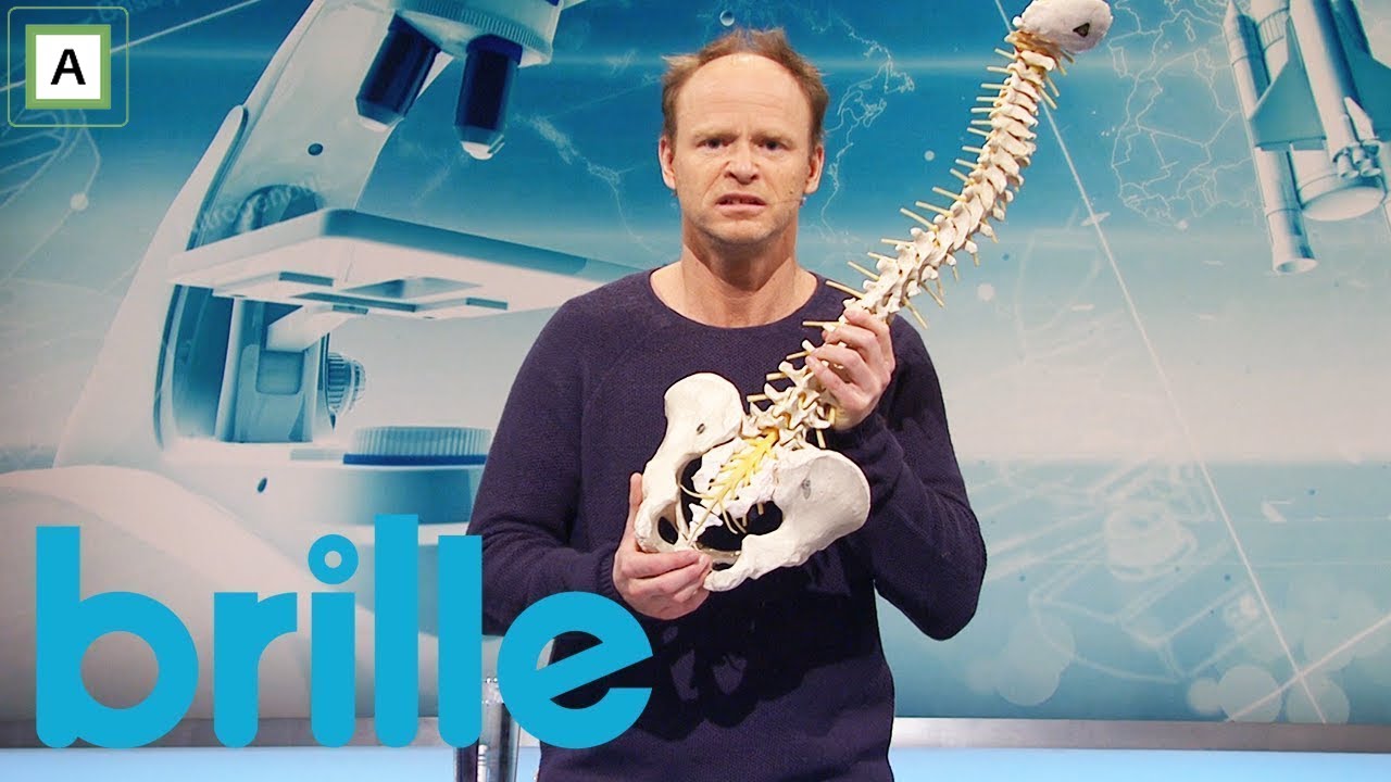 Brille | Hvorfor har vi halebein? | discovery+ Norge