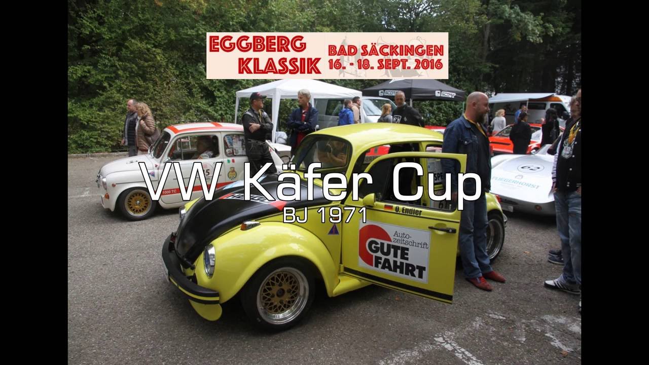 Cup Käfer