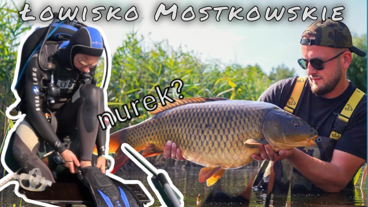 Nurek na Karpiach ?! / Łowisko Mostkowskie - Vlog38