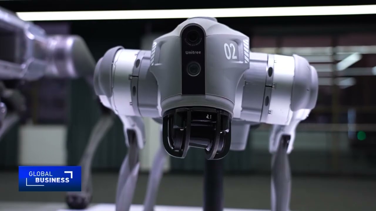 Unitree IPO: Is China&rsquo;s robot boom just beginning?