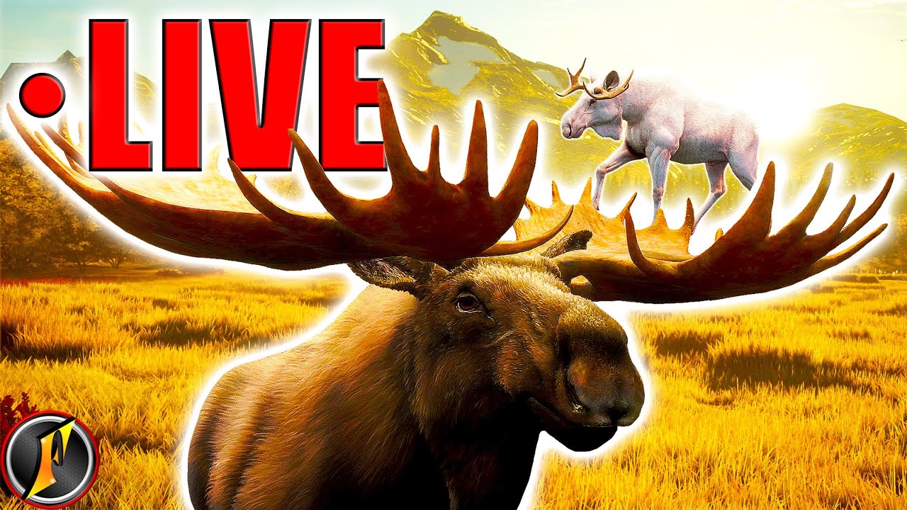 Moose Grinding Again... 👀 (Not Getting TOO Serious Yet Tho 😂) | LIVE!