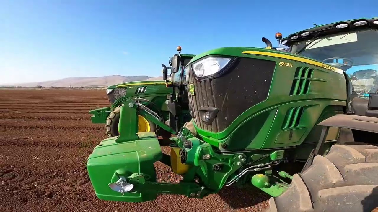 garlic machine 