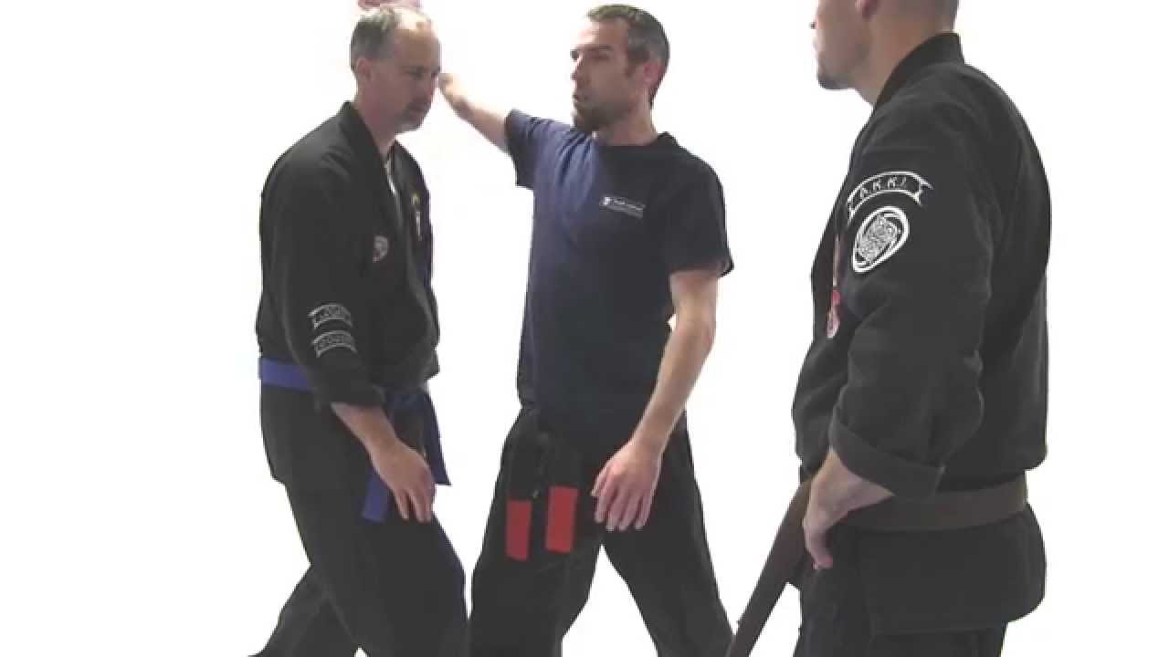 Kenpo Karate Techniques AKKI Kenpo Karate Randall McKay