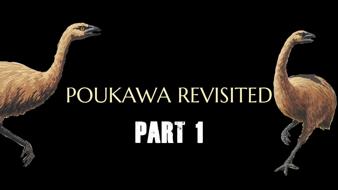 Poukawa Revisited part 1 -Poukawa Archaeological Site, Proving Ancient habitation in NZ to 7000+ yrs