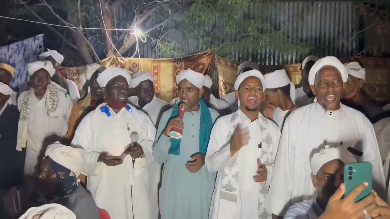 Digri macaan Alxuseniya xafada A11 qaxotiga dagahley 