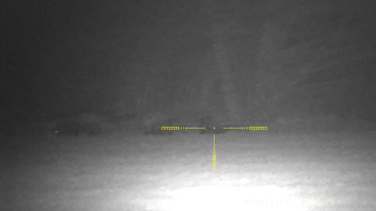 PARD 008 LRF Mannlicher SBS 308w Dziki Przelatek 100m Wild Boar Hunting