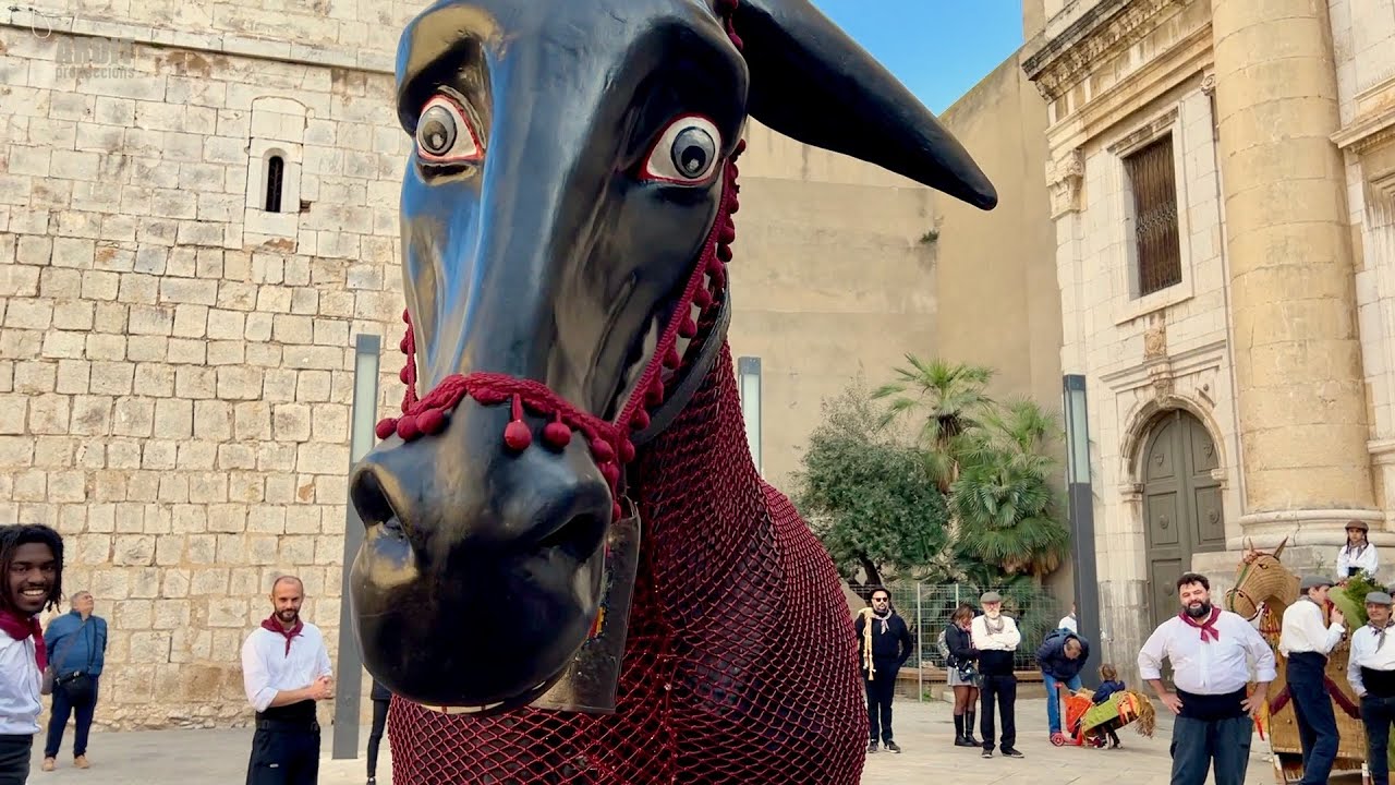 La Mulassa BOJA de Vilanova i la Geltrú