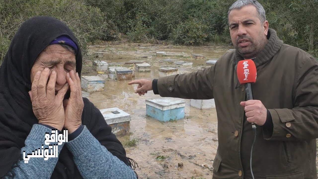 فيضانات تونس الاخيرة خسائر كبيرة للمواطنين ... بيوت نحل تغمرها المياه و صابة القوارص تضيع