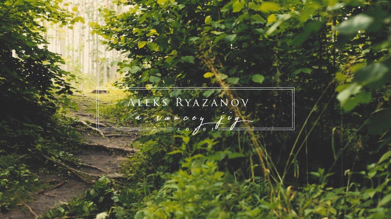 Aleks Ryazanov - A Saucey Jig (Justin King cover)