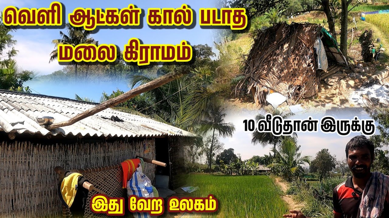 Nadu kollai village - வெளி ஆட்கள் கால் படாத மலை கிராமம் | 10 வீடுதான் இருக்கு | இது வேற உலகம் |