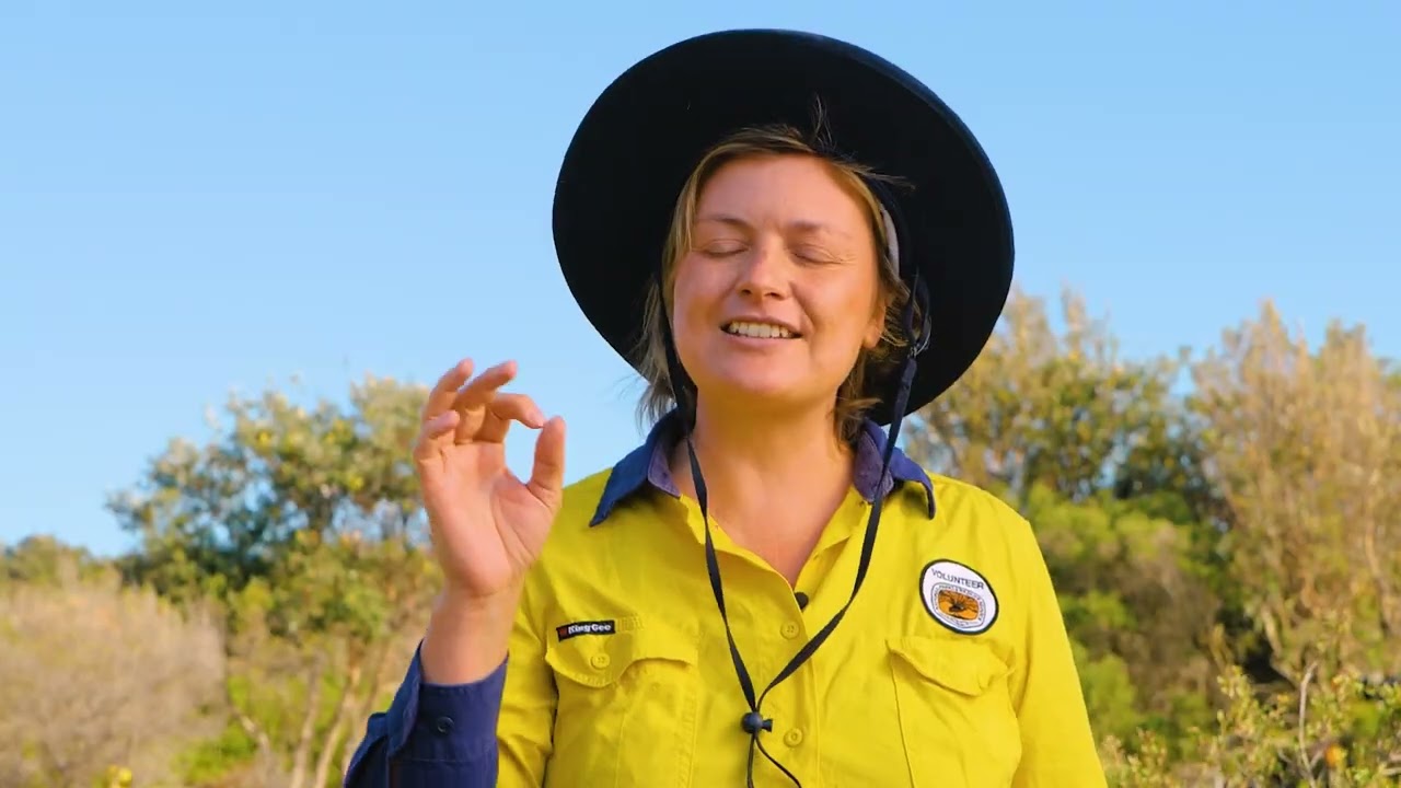 Volunteer Story: Anna | #nswparks