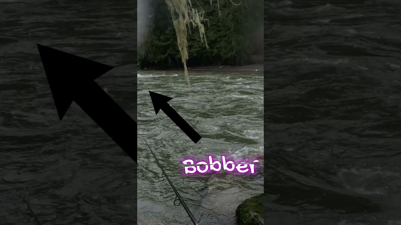 Hunting for Trophy Steelhead!