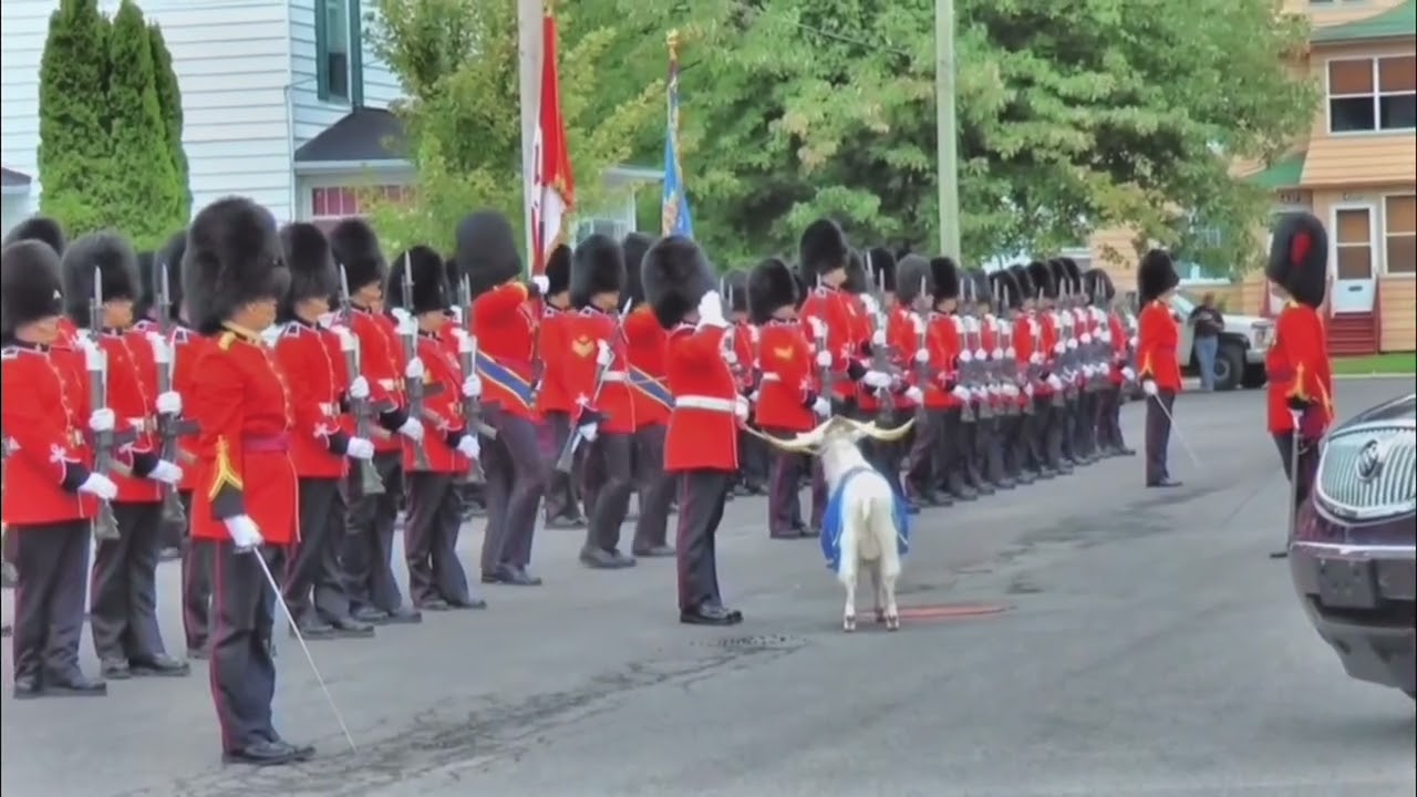 Mise en place des Drapeaux  + Salut Général - Royal 22e Régiment
