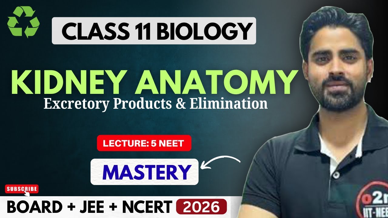 Kidney Anatomy Lecture 6: Internal Structure, Calyces & Pelvis | Human Excretory System NEET 2026