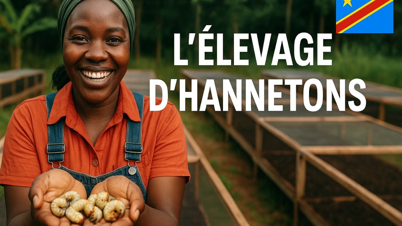 Vas y lances toi ! Les larves d’hannetons : le business agricole que personne ne voit venir en RDC !