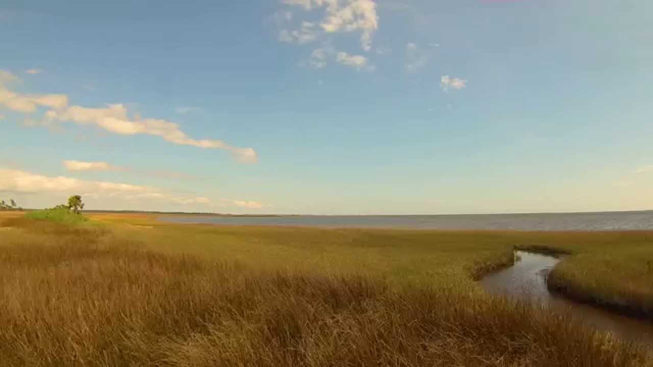 Marsh grass at Wakulla Beach from the air