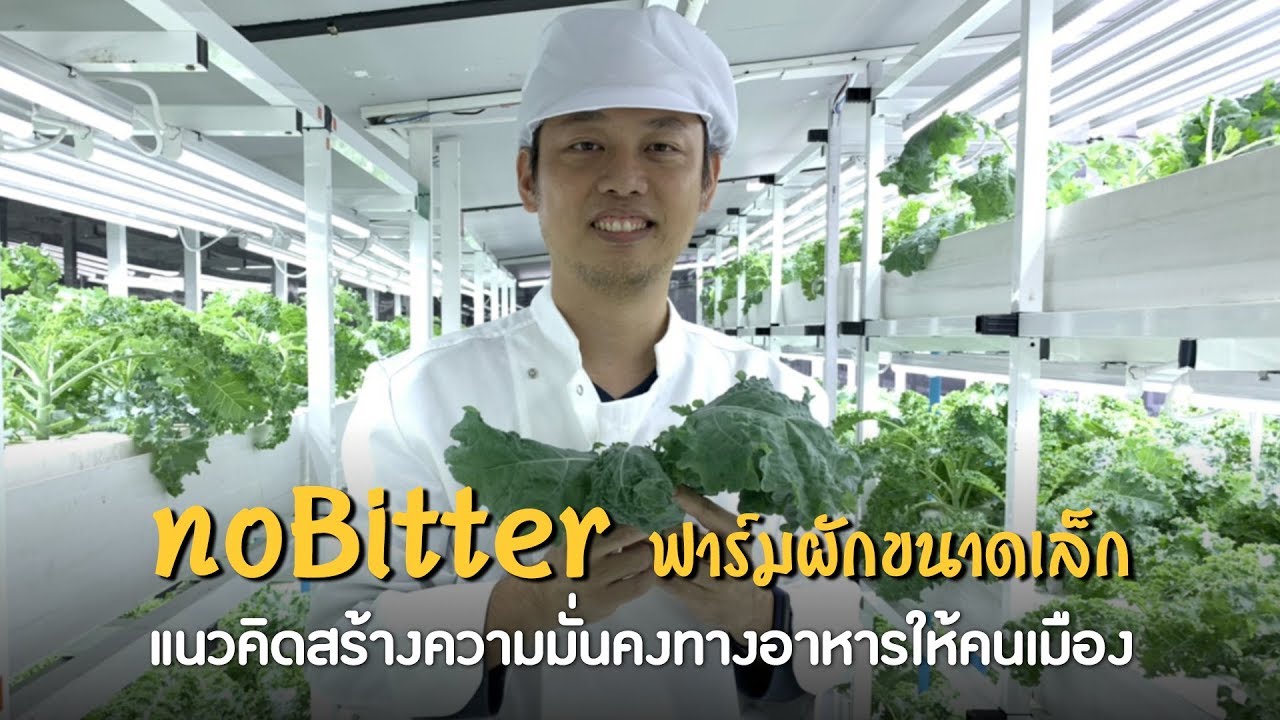 noBitter ฟาร์มผักขนาดเล็กใจกลางสยาม แนวคิดสร้างแหล่งผลิตอาหารให้คนเมือง