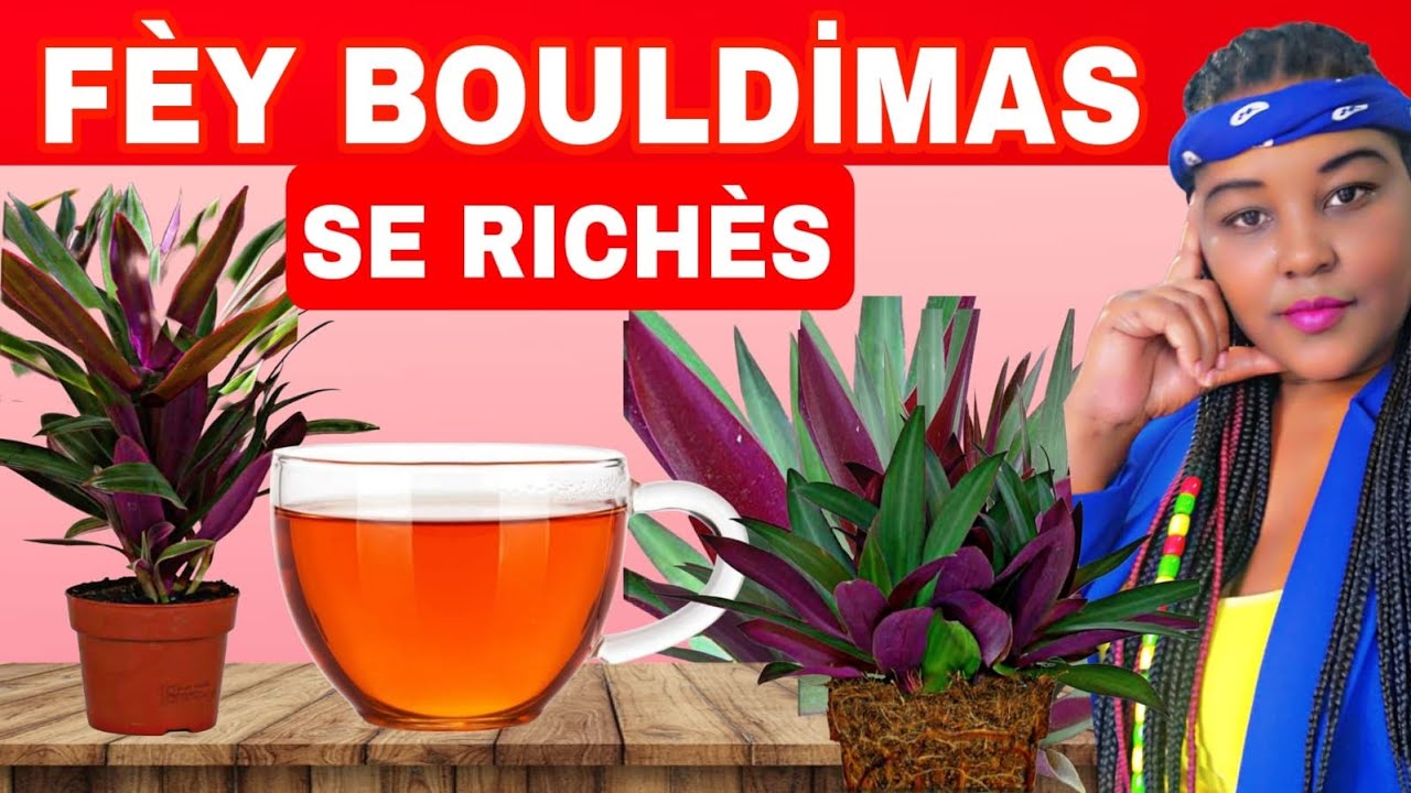 Fey Bouldimas : Tout Saw dwé konnen De Fèy Bouldimas Sou Santew