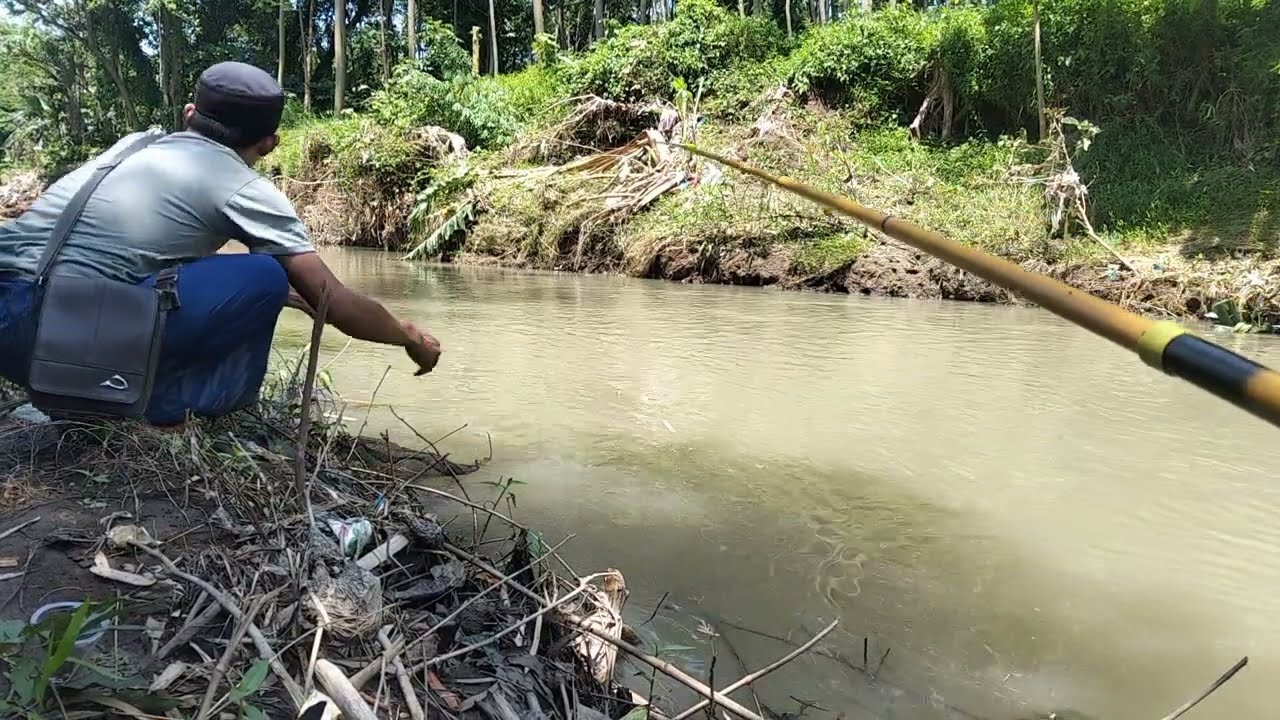 Air Keruah. Mancing Nila dengan Umpan Cacing Di Musim Hujan. Apakah Efektif!