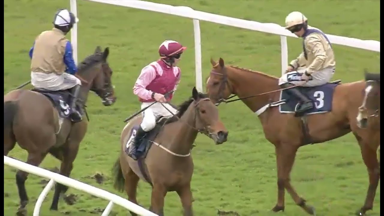 RACE NO -02 NEWBURY  UK  - 17 FEB 2026