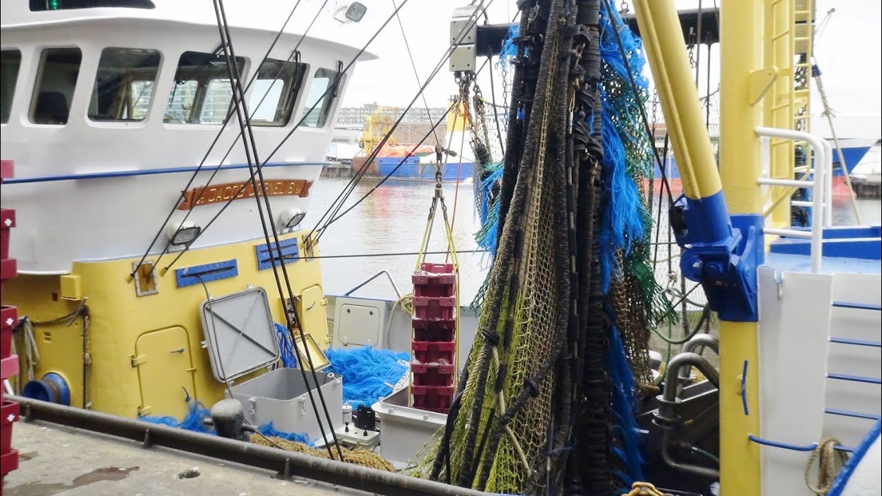 SCH-45 JACOB CORNELIS aankomst en vislossen 25 -5 -2016