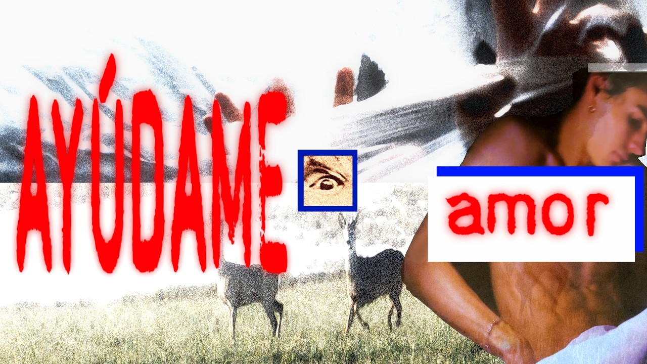 Me hice de PLÁSTICO