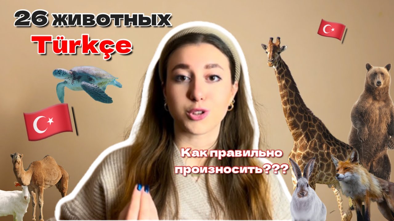 Животные на турецком языке || Для детей и взрослых | 26 hayvan | Türkçe
