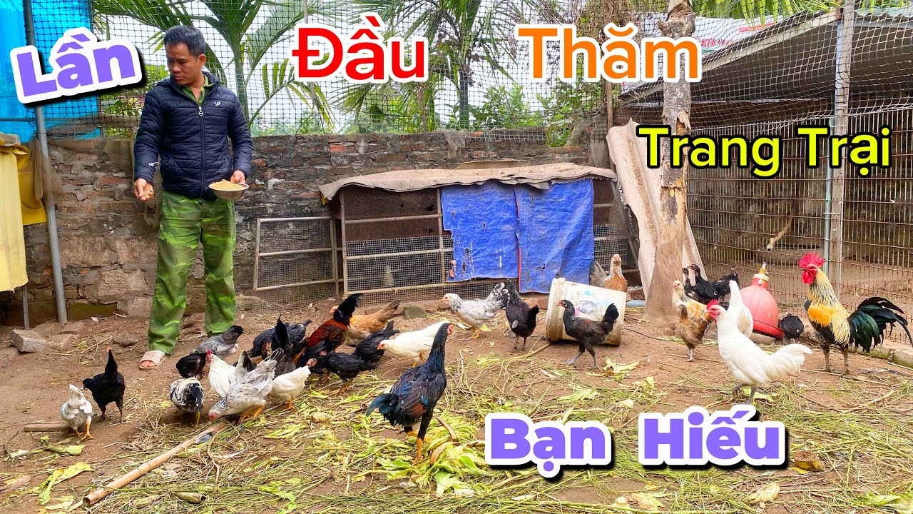 Lần Đầu Tiên Thăm Trang Trại Của Gia Đình Bạn Hiếu Và Sẽ Có Những Gì | Định Đỏ