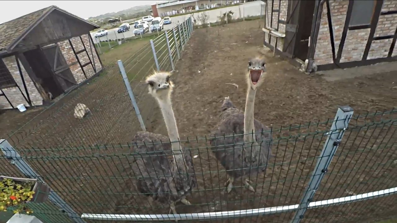 BINGO ZOO PARK TUZLA