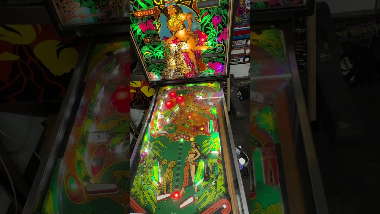 Cheetah pinball roll