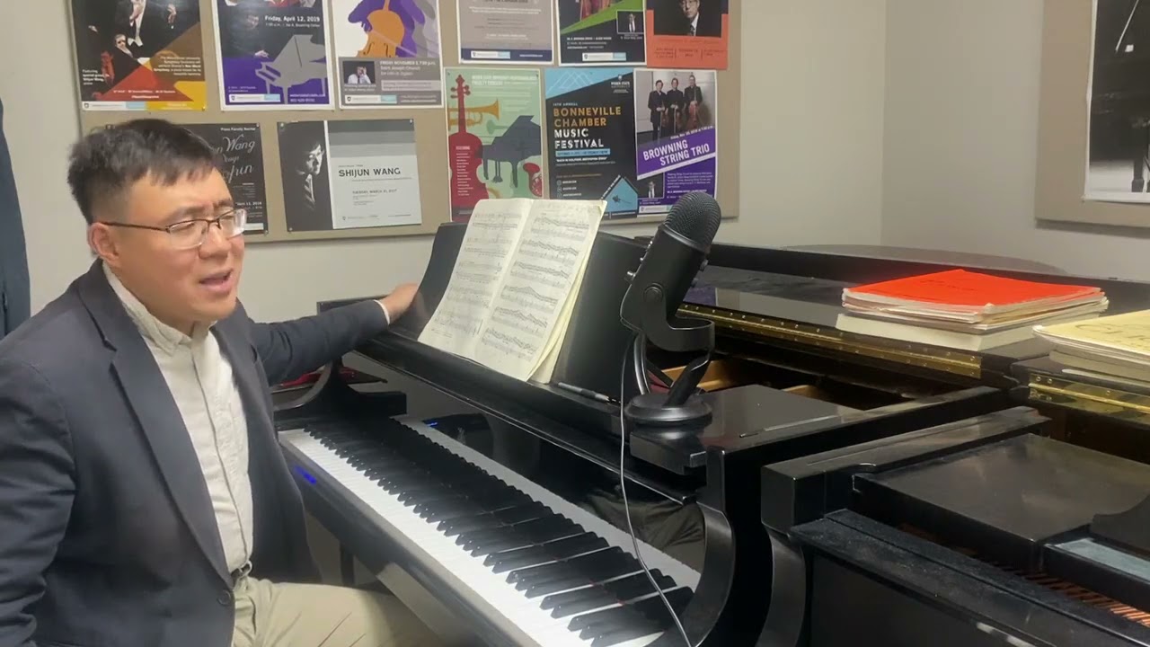 Schubert Impromptus Op. 90 No. 2 （Part 1）