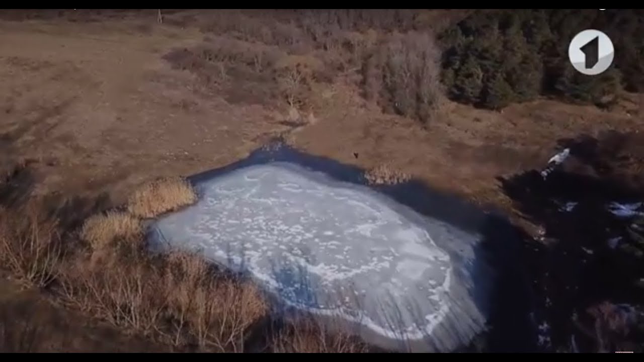 В путь! Поселок Карманово - 15/03/18