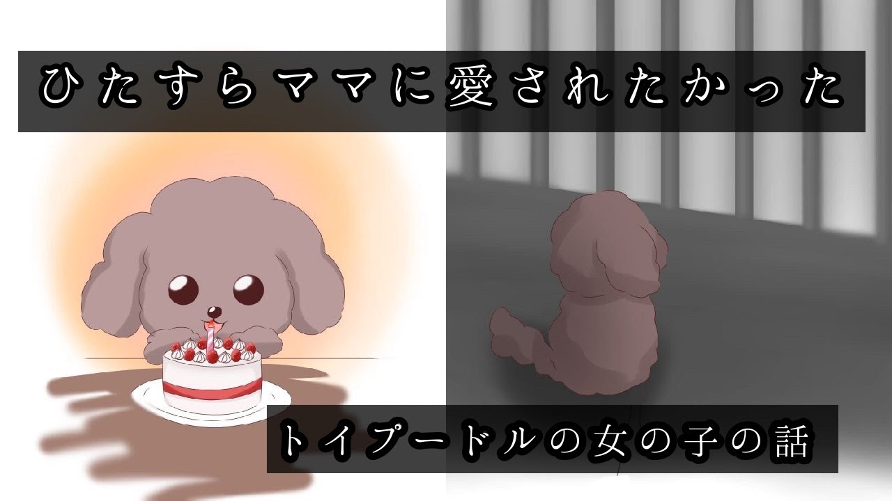 【保護犬】捨て犬になったらどうなるの？犠牲になるペットたち