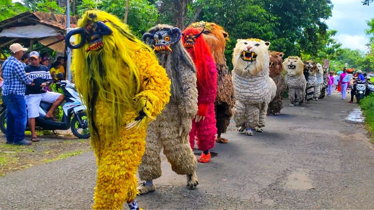 🔴LIVE | can macanan singo raung cilik Di undang acara imtihan di guyur hujan Tampil di sekar putih