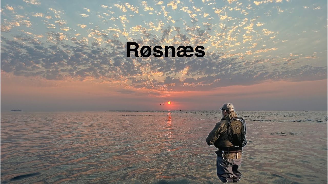 Røsnæs en sommerdag #havørred #fishing 