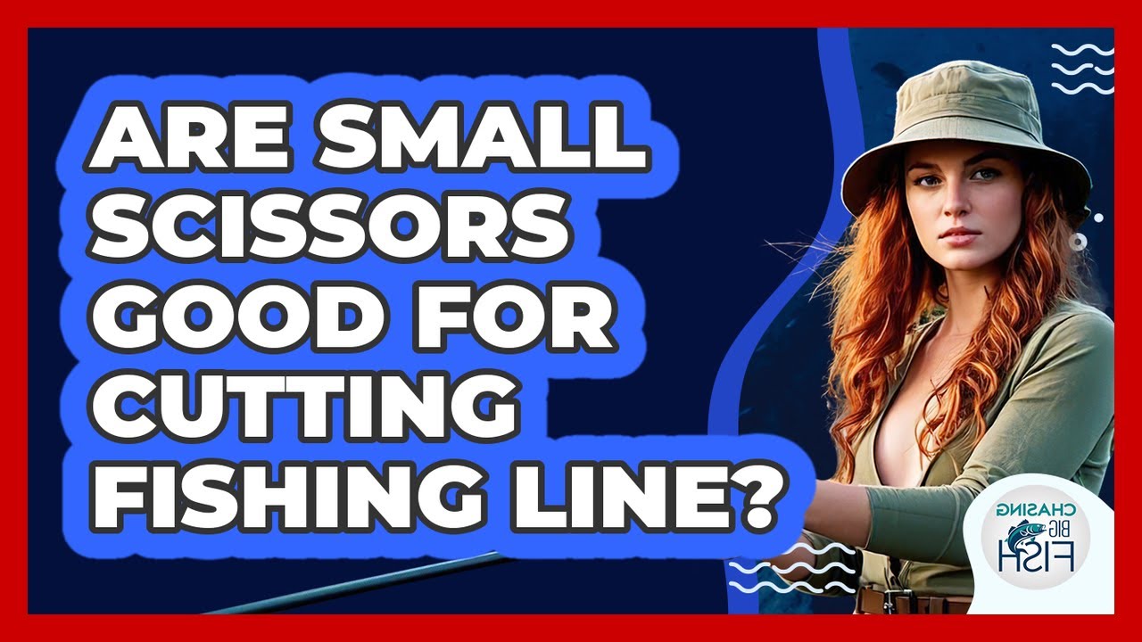 Are Small Scissors Good For Cutting Fishing Line?