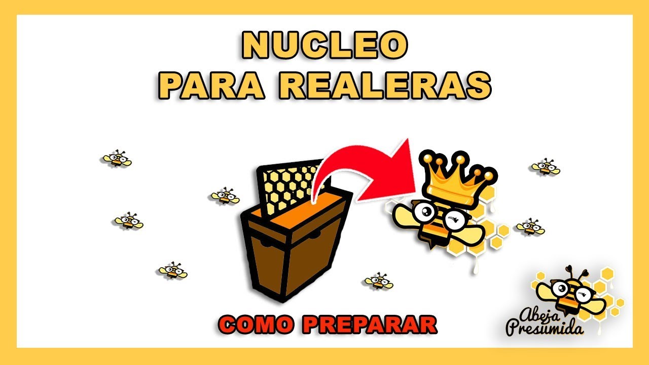Como hacer N&Uacute;CLEO para REALERAS 🐝🧡🎥