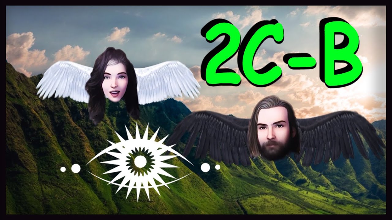 V&scaron;e co potřebujete vědět o 2C-B