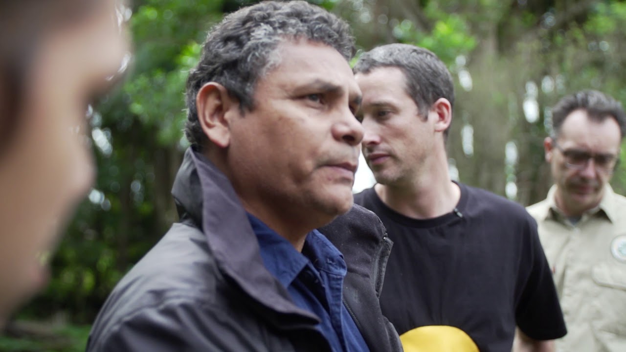 Rainforest fruit genetics confirm ancient Aboriginal pathways