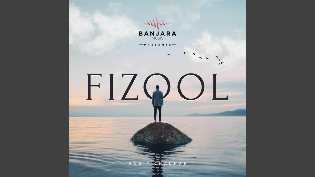 Fizool