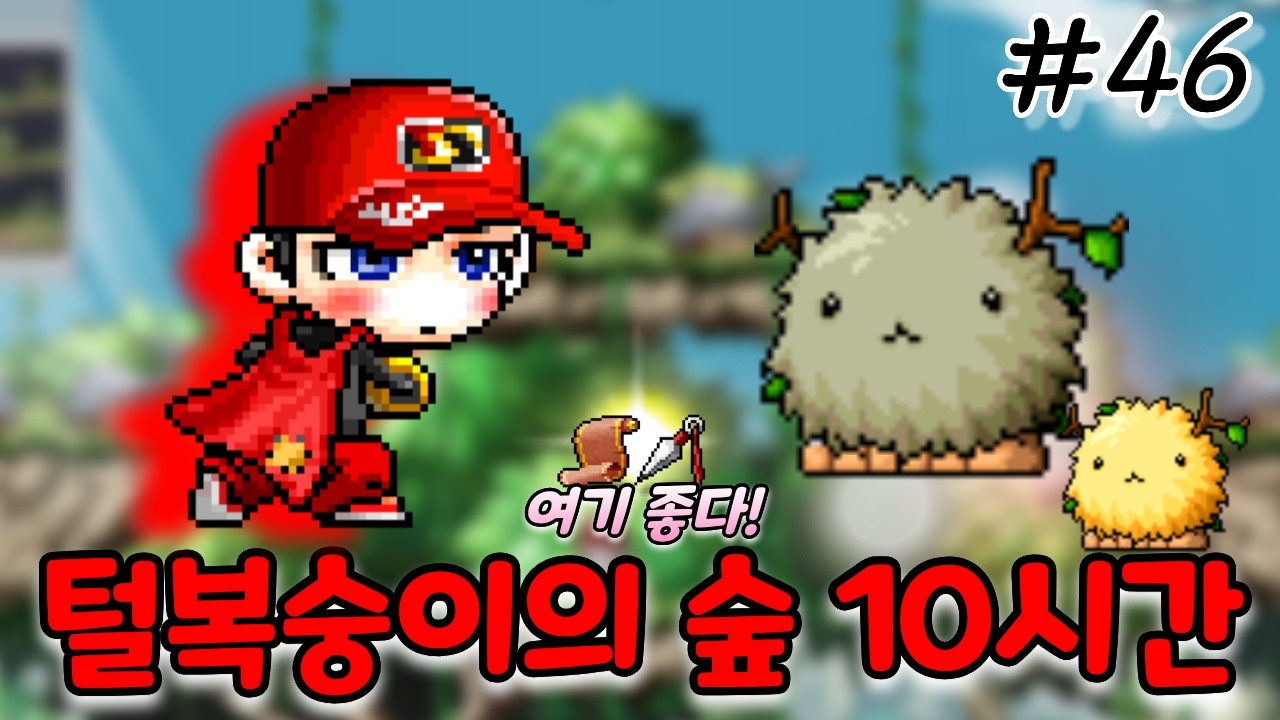 여기 최고다! 