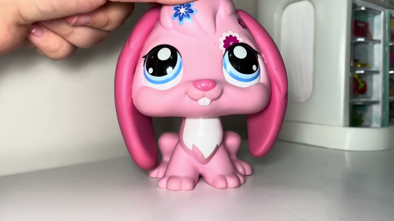 AÇIKLAMA