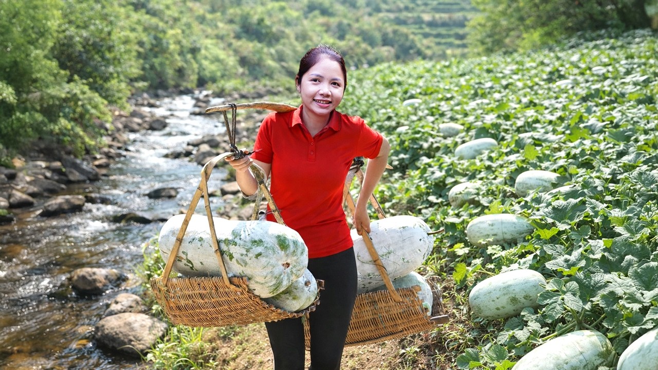 REWIND TIMELAPSE - Harvesting 1000+ Gaint Winter Melon GoTo Market Sell, How To Make Traditional