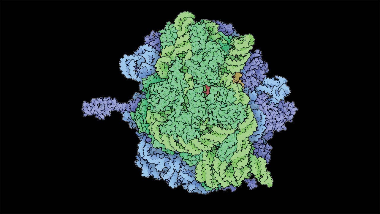 Origins of Life: Early Life - RNA - Molecular Evolution in the Lab | Mark Ditzler