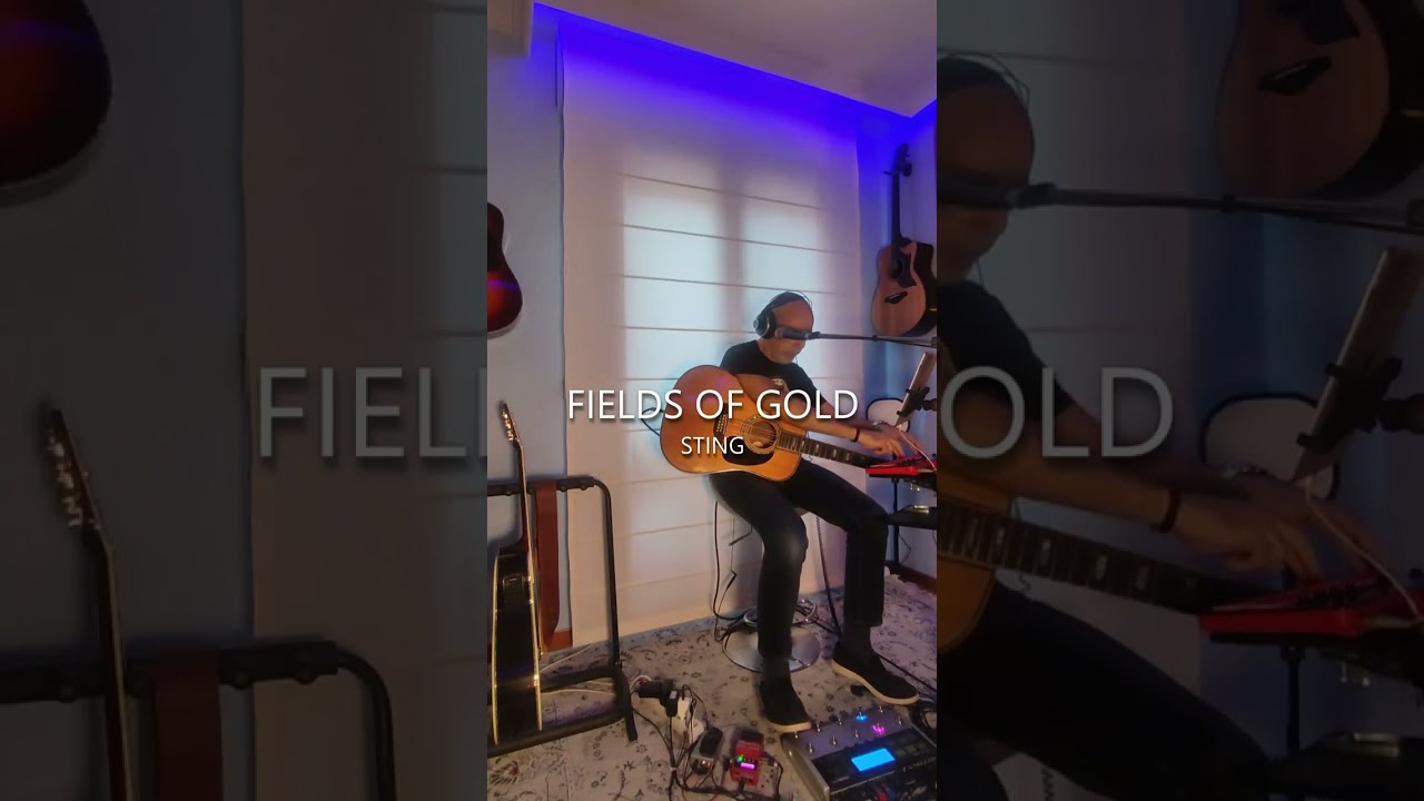FIELDS OF GOLD (Sting) - Live Cover with looper