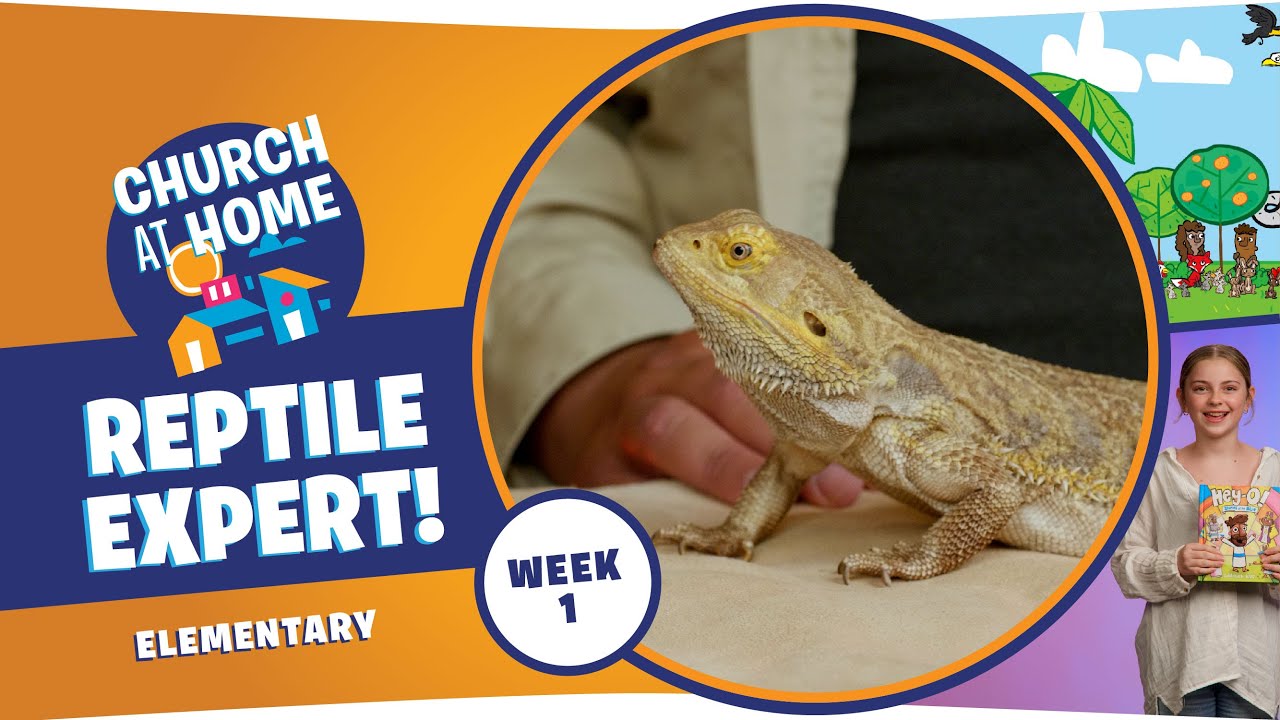 Church at Home | Elementary | Big Questions Week 1 - June 7/8