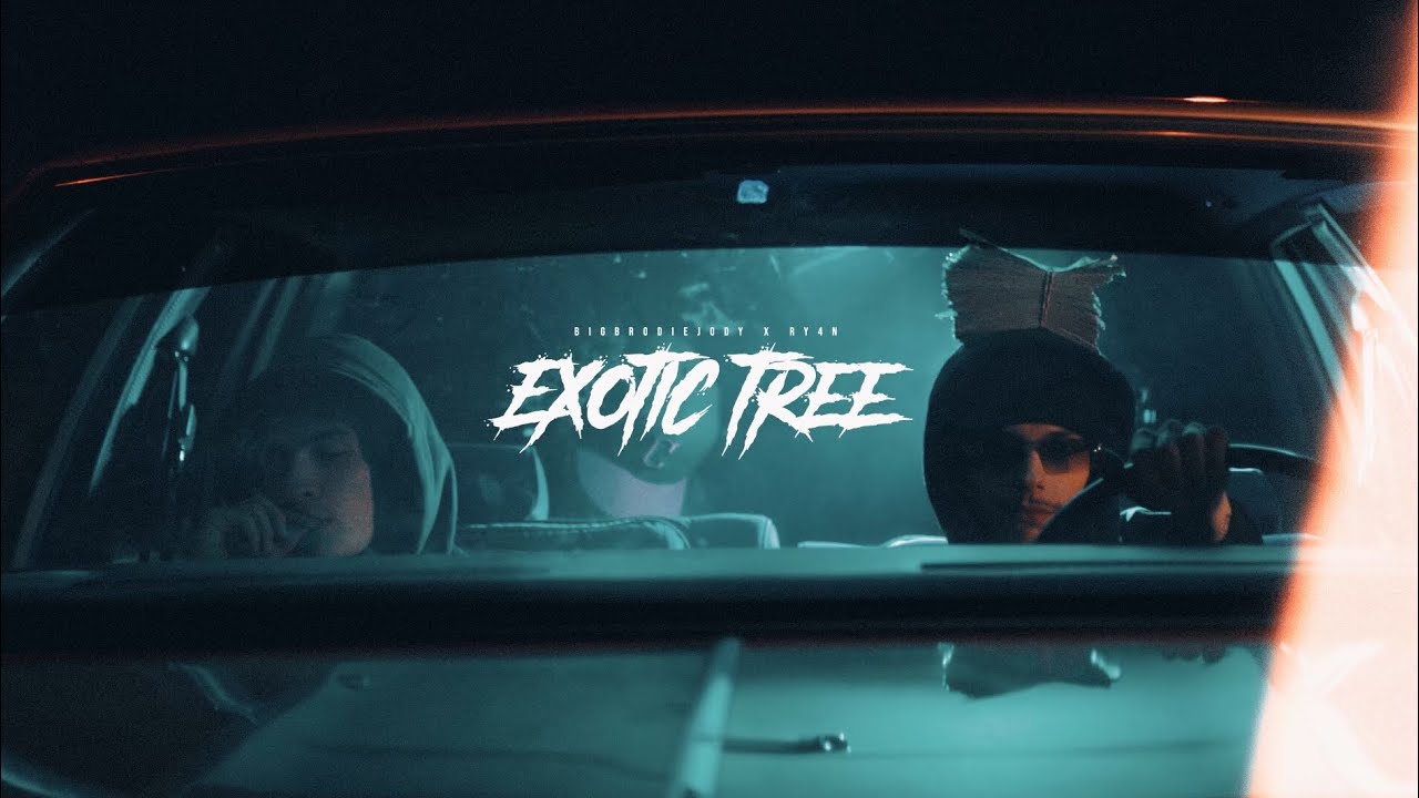 BIGBRODIEJODY x RY4N - EXOTIC TREE (Official Video)
